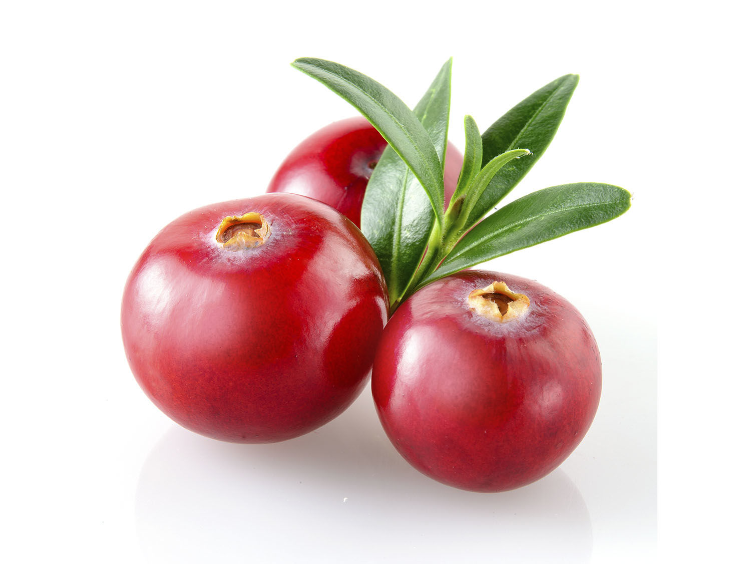 Cranberry